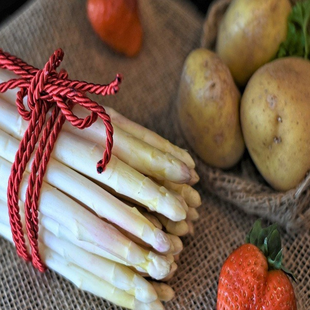 Vente 10 Asperges Argenteuil - Asparagus officinalis argenteuil