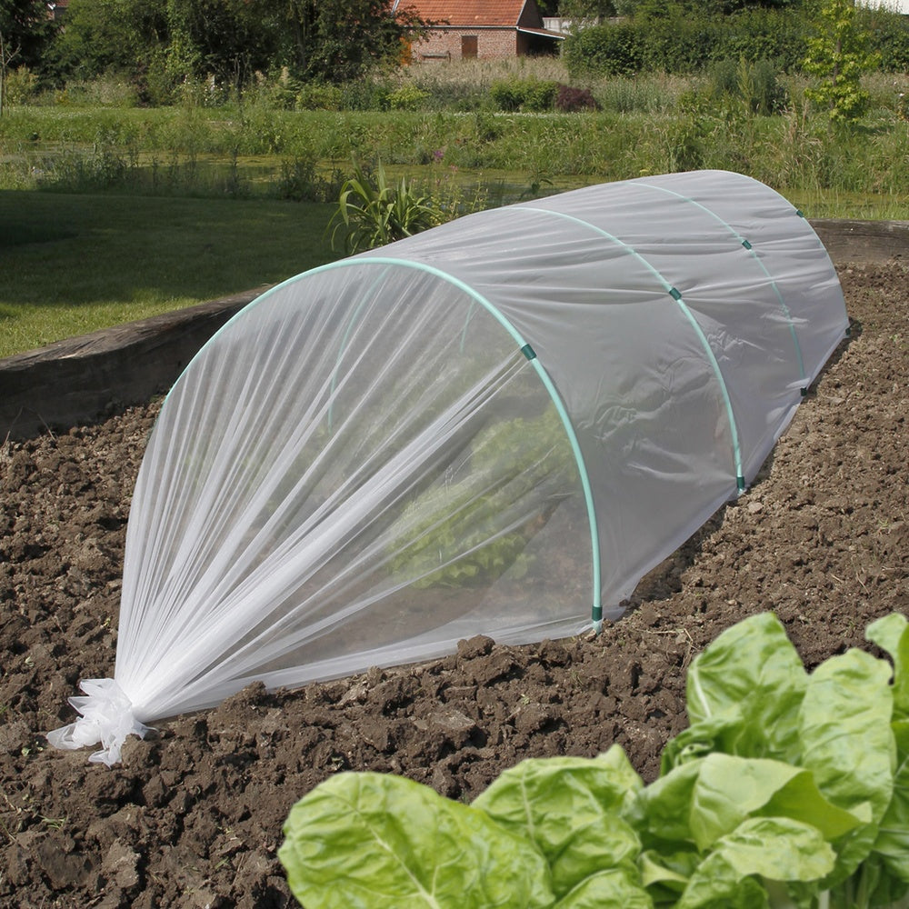 Film de forçage anti-insectes -  - Willemse