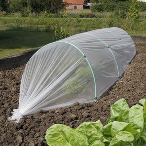 Film de forçage anti-insectes -  - Willemse